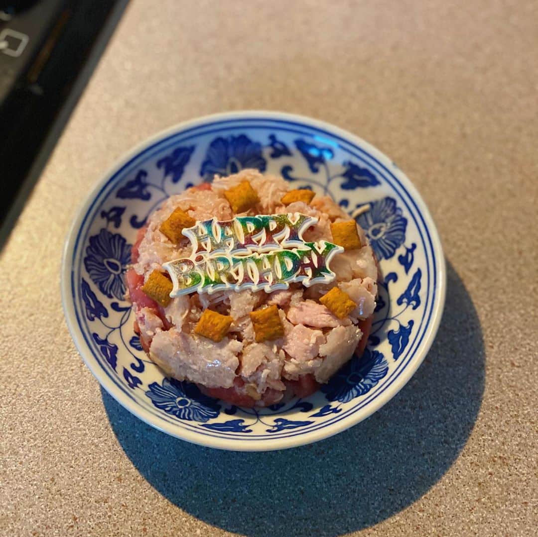 Misty The Moggieさんのインスタグラム写真 - (Misty The MoggieInstagram)「It’s Misty’s 6th birthday today! Happy birthday 🥳🥳 Human made her a huge meat cake for dinner. She scoffed it all down in record time and is having her post dinner clean here. Here’s to many more! 🥂」8月28日 2時15分 - mistythemoggie