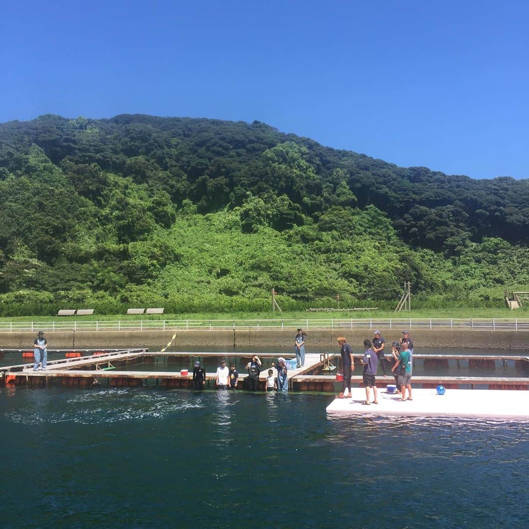 鈴木夏未のグルメインスタ