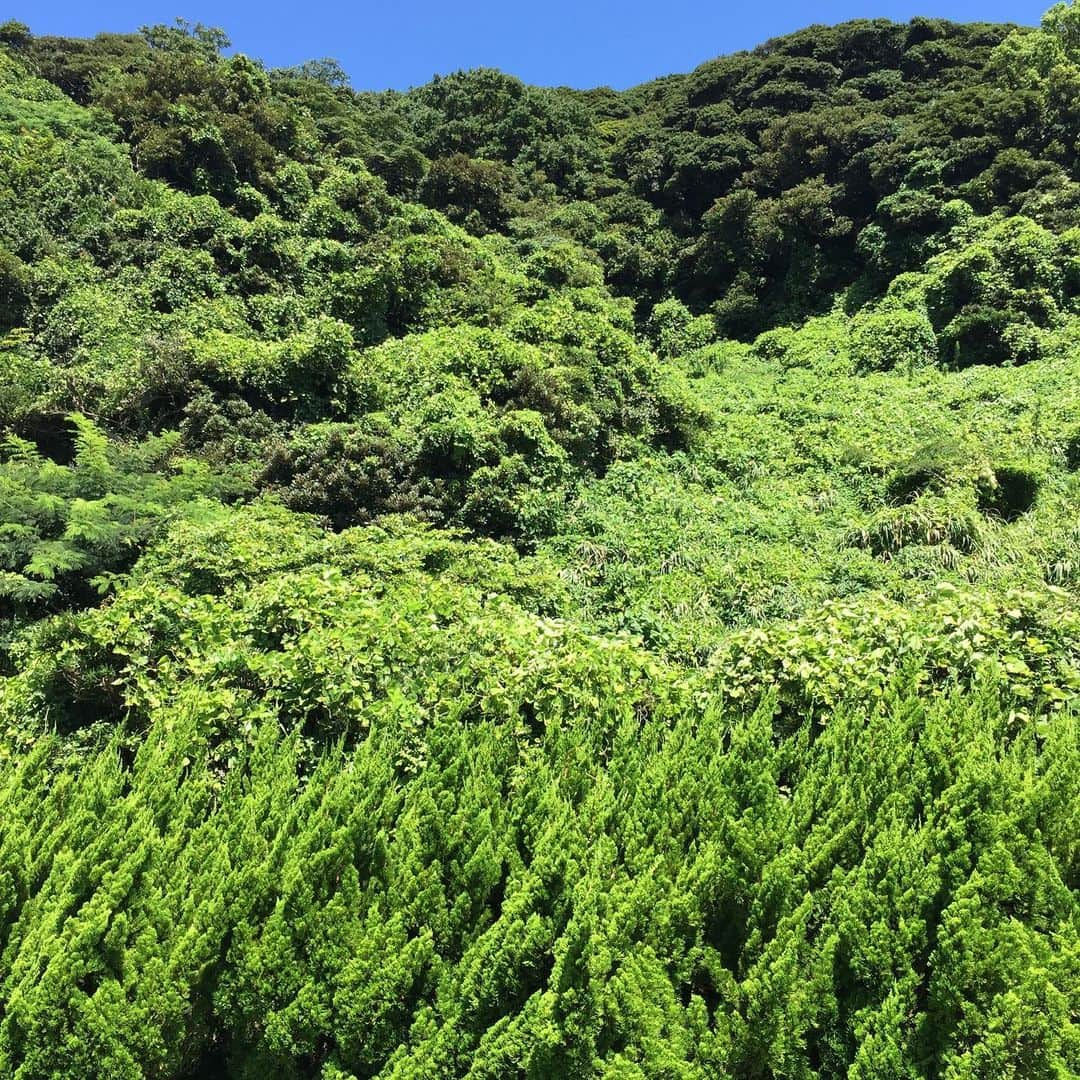 鈴木夏未さんのインスタグラム写真 - (鈴木夏未Instagram)「壱岐島イルカパーク 巨大なアトラクションというか遊具  イルカと触れ合うアトラクションまで 待ち時間がある間、たっぷり遊べる場所  遊びながら、 イルカさんたちと触れ合う場所も一望できます❤︎  自然が豊か 広くてめっちゃ楽しめました  ・ ・ ・ #壱岐島  #イルカパーク」8月28日 2時28分 - natyumisuzuki