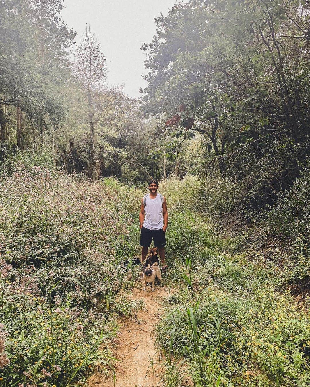 イバイ・ゴメスのインスタグラム：「Paseo y contacto con la naturaleza 🌿🐶  ¿Qué os gusta más? ¿Mar o montaña? 🌊⛰」