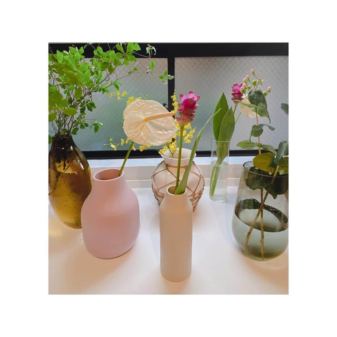 近藤千尋のインスタグラム：「今日はお休みだったので まったりゆっくり過ごしました🌼🤤 独身の時は何時間でもベッドに居て ひたすらゴロゴロしていた私🥱 (もちろん今でもしたい) 赤ちゃん抱っこ紐してお花屋さん行ってローストビーフ仕込むなんて 大人になったなぁ。笑😦  ひーぼぉくんが褒めてくれた ローストビーフうれしいなぁ🥩  #休日」