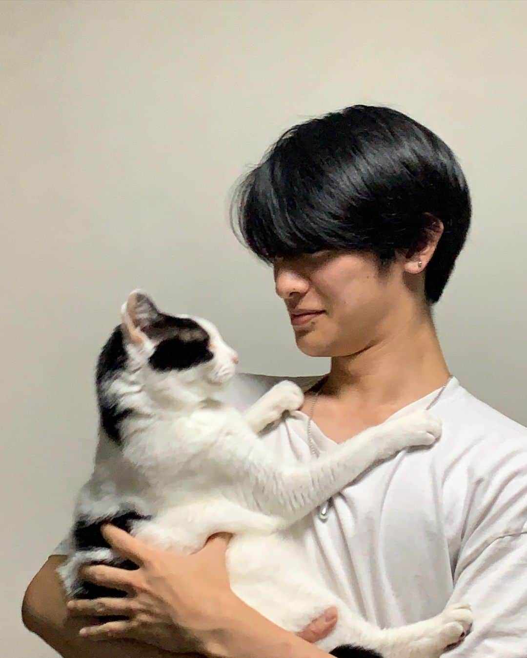 浅野竣哉さんのインスタグラム写真 - (浅野竣哉Instagram)「#ねこ」9月11日 22時30分 - shunya_asano