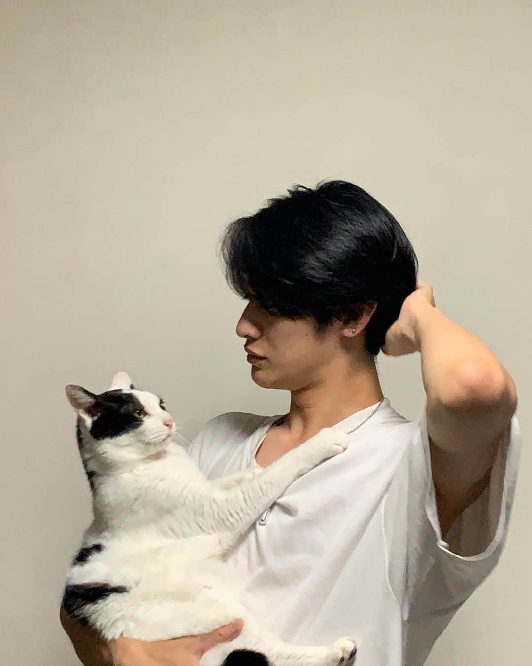 浅野竣哉のインスタグラム：「#ねこ」