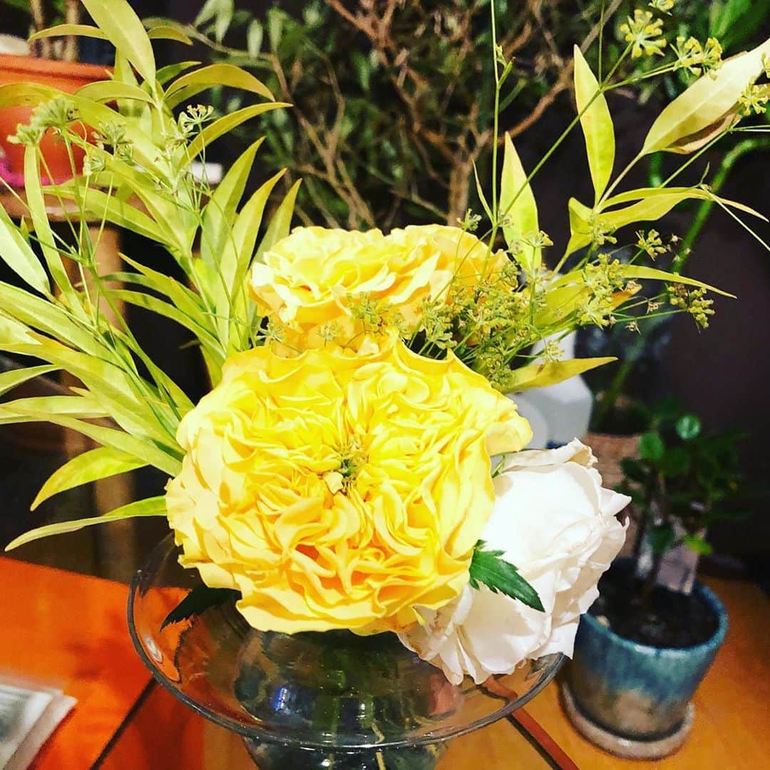 阿部洋子さんのインスタグラム写真 - (阿部洋子Instagram)「⸜🌷︎⸝‍ #今週のお花   プレゼントにいただいた、 ステキな花瓶とお花🎶  パリの手吹きガラス作家 @lasoufflerie のモノ。  不思議な形してるの～ 気泡が入ってるのもカワイイ♡  またParisに行ける日は来るのかしら？？  #flowers  #present #birthday #thankyou」9月11日 22時30分 - hirocoring