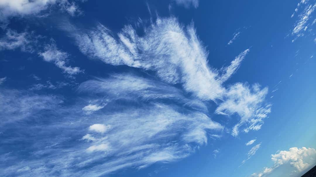 片山美紀さんのインスタグラム写真 - (片山美紀Instagram)「空と海に癒されました😊😊 夏の雲と秋の雲が混在する、ゆきあいの空でした。 #天気#天気予報#気象予報士#お天気#季節#夏#アナウンサー#空#気象キャスター#秋#海#ゆきあいの空」9月11日 22時56分 - mikiktyma_otenkicooking