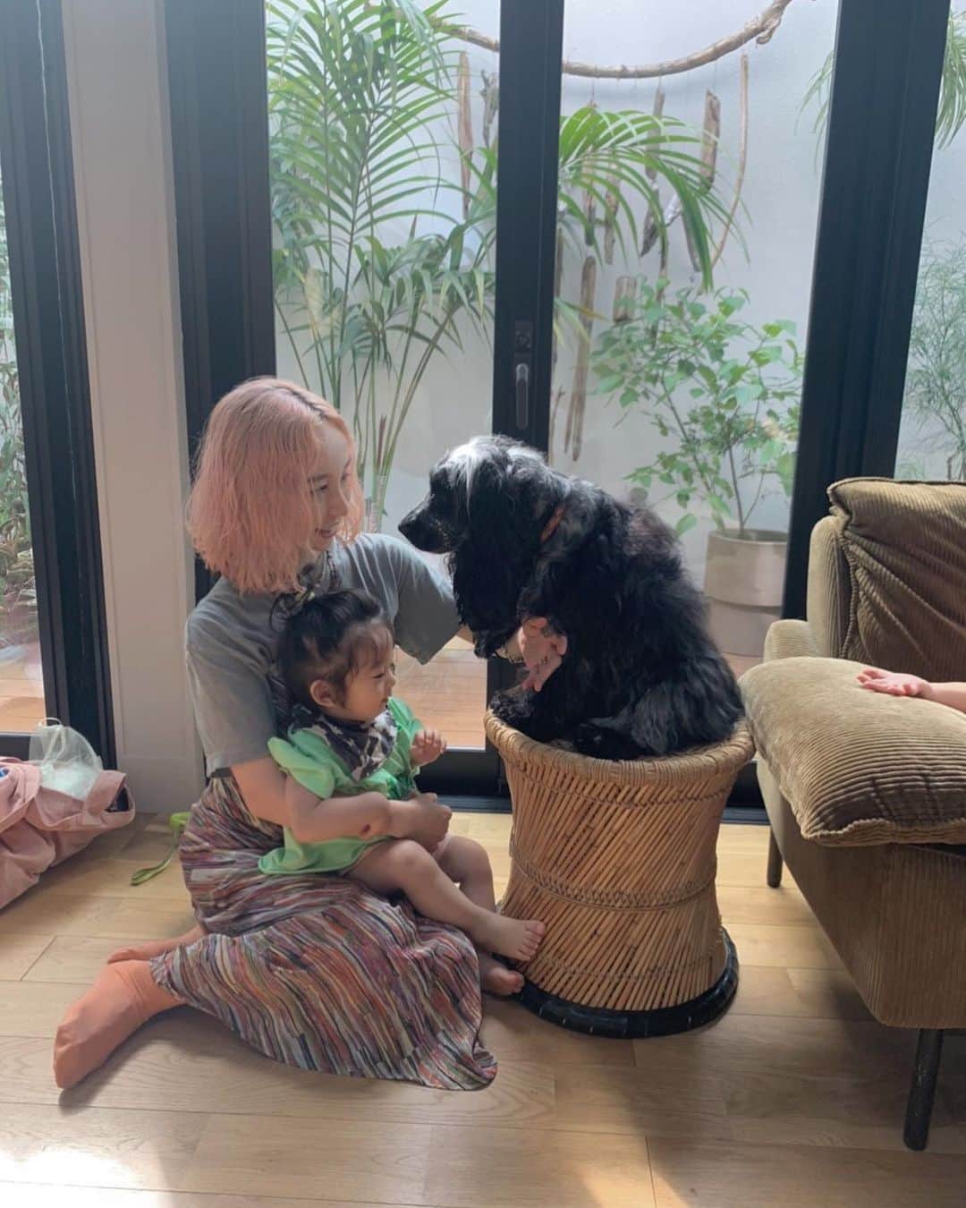 nanako itoのインスタグラム：「少し前の @farver_conduit_official @farverakiko さん🏠の🐶nanaちゃん。 . ワンちゃんにたくさん触れられたこの日からワンちゃんに会ったりテレビでわんちゃんが出てくると興奮する息子です👶🏻 . もう会いたい🐶 お邪魔しました💓 . #イングリッシュコッカースパニエル」
