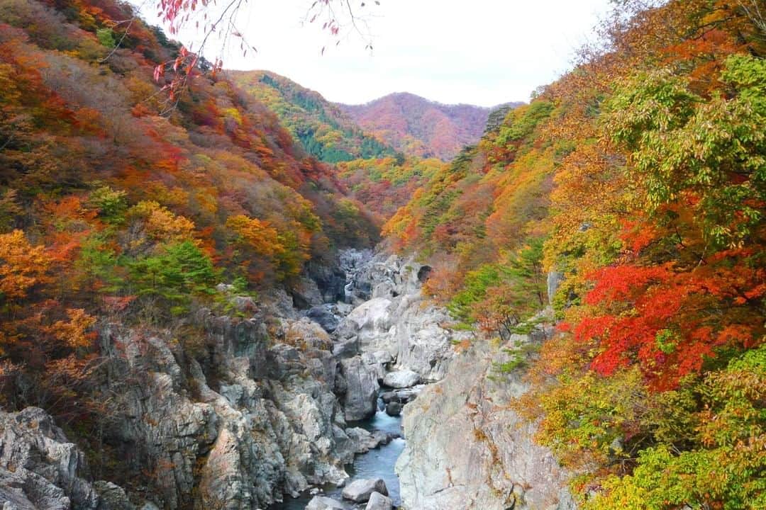 TOBU RAILWAY（東武鉄道）さんのインスタグラム写真 - (TOBU RAILWAY（東武鉄道）Instagram)「. . 🚩Ryuokyo Canyon - Nikko, Tochigi . . [Enjoy the autumn valley in Ryuokyo Canyon, Nikko City, Tochigi Prefecture!] . "Ryuokyo Canyon" is located between famous Kanto hot springs, Kinugawa Onsen and Kawaji Onsen. Created by nature, this beautiful valley is well known.  There are hiking trails and a suspension bridge in the vicinity of the Ryuokyo Canyon. The best time to see autumn leaves is usually from late October to mid-November. Please relax and enjoy nature. . . #visituslater #stayinspired #nexttripdestination . . . #nikko #tochigi #ryuokyocanyon #japantrip #travelgram #tobujapantrip #unknownjapan #jp_gallery #visitjapan #japan_of_insta #art_of_japan #instatravel #japan #instagood #travel_japan #exoloretheworld #ig_japan #explorejapan #travelinjapan #beautifuldestinations #toburailway #japan_vacations #onsen #japan_autumn #nikko_japan #kinugawaonsen #kinugawahotspring」9月11日 15時00分 - tobu_japan_trip