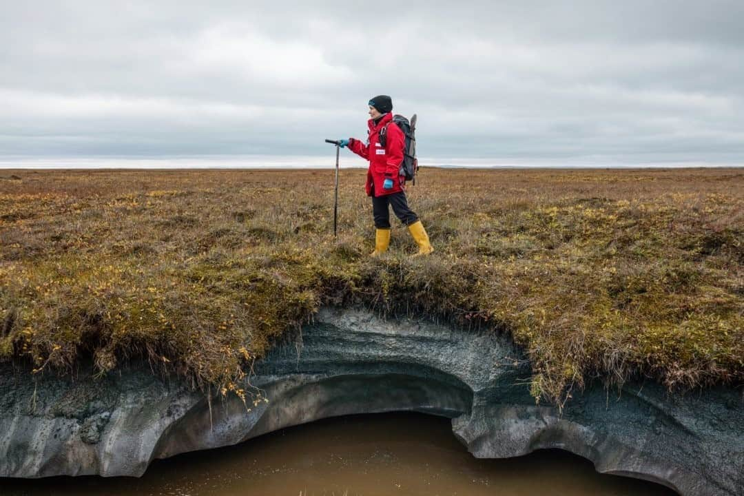 ナショナルジオグラフィックさんのインスタグラム写真 - (ナショナルジオグラフィックInstagram)「Photo by @paoloverzone  Anne Morgenstern, a geoscientist at Germany's Alfred Wegener Institute (AWI), stands on an eroding ice-rich permafrost deposit on Kurungnakh Island, in Siberia, Russia. New studies by AWI have determined that even permafrost currently very cold could be gone near the surface by the end of this century. "Abrupt thaw processes could potentially increase total permafrost carbon emissions by 40 percent," said Guido Grosse, head of AWI's permafrost research division. #permafrost. Follow @paoloverzone for more photos and stories and @awiexpedition for polar research stories.」9月11日 15時39分 - natgeo