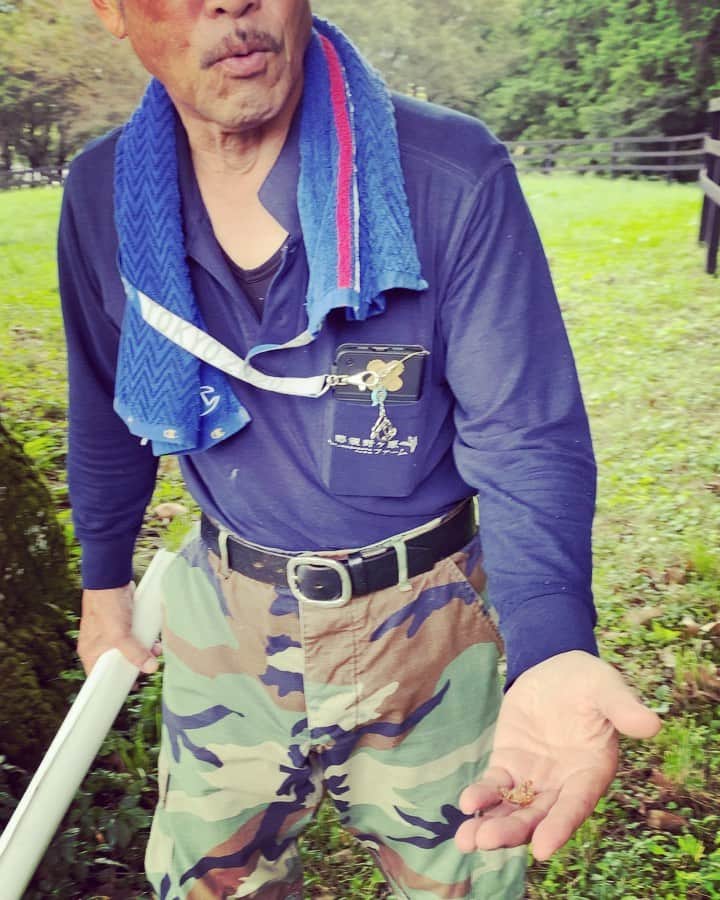 紗栄子のグルメインスタ