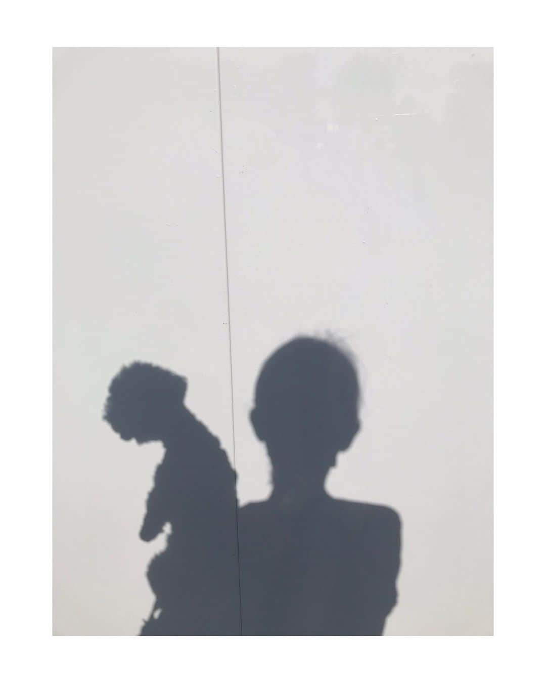 橋本真実さんのインスタグラム写真 - (橋本真実Instagram)「影までかわいいねぇ なに考えてるんだろうね #いぬ」9月11日 16時18分 - mami_hashimoto130
