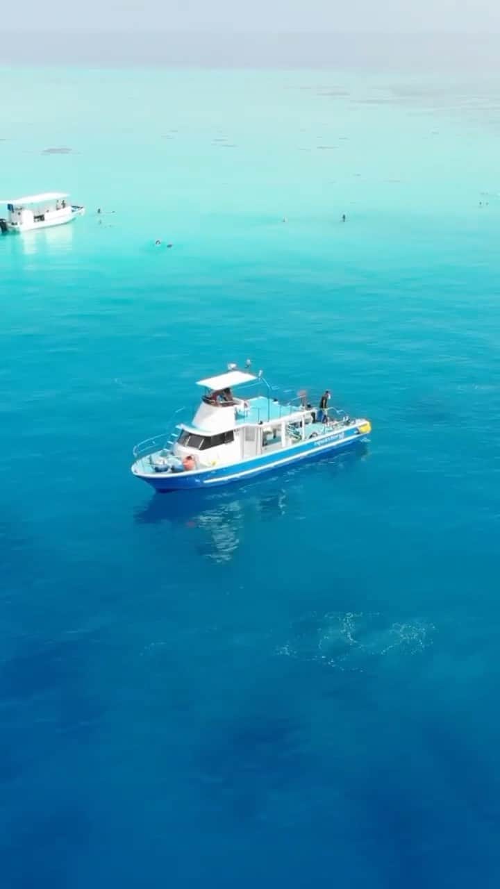 maakoのインスタグラム：「Special day🧊🌞🤍  #八重干瀬 #宮古島 Diving shop⛴ @aquastorykuni  @aquastory_miyakoisland」