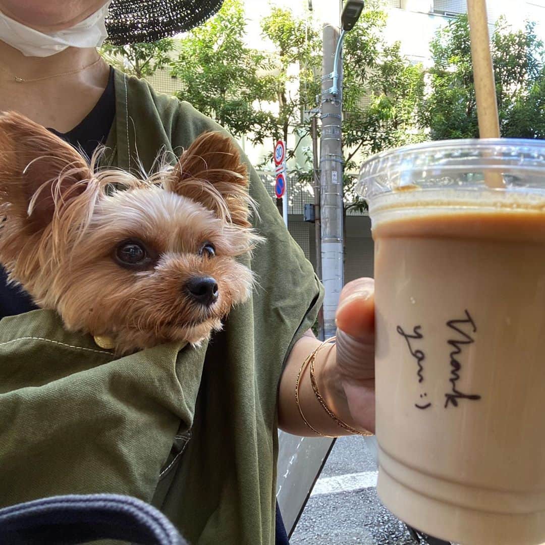 のインスタグラム：「☕️☕️☕️  この前、ご近所の親子犬モコソラちゃん @mocosora33567 に誘っていただき朝お茶しました。ずっと行ってみたかったコーヒースタンド。美味しそうなマフィンも仕事のお供に買って、とっても楽しい朝となりました。  @ntscoffeetokyo   在宅勤務の良いところは朝のお散歩から9時に家に帰っても問題ないところ。早朝5時に仕事ちょっとやってみたり私にはめちゃくちゃ向いてる。もうずっと在宅勤務で構わない気がしています。  #yorkie #yorkshireterrier #ヨーキー #ヨークシャテリア」