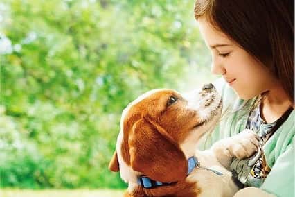 市橋有里のインスタグラム：「"僕のワンダフルジャーニー"  先日観たこの映画は、1に続き再び感動とそうあってほしいという願いが込められたもの。いつか訪れる日が来る愛犬がいるならぜひ観てほしい。絶対に泣いてしまうけれど、もしその日が来てもこう思えば…という少し気が楽になる映画。 2枚目写真のようなことしてみたかったなーと。 犬好きは号泣必至ですが、世代を越えてまた巡り合えるという大好きな映画です。 ・ #ワンダフルジャーニー #愛犬 #いぬのいる暮らし  #doglover #ゆきろく」