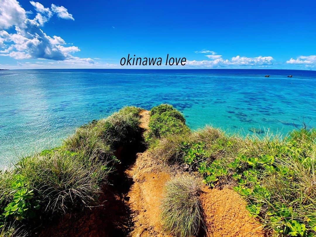 仲宗根泉さんのインスタグラム写真 - (仲宗根泉Instagram)「私は、海を感じる 雑貨や食器が 大好き！ 沖縄で育ち 沖縄に住んでるけど 家の中でも 海に囲まれていたいくらい好き❤️ . . . 色々なサイトや 時には オーダーで 作ってもらうので どこで購入したかは 覚えていないんだけれど😅 生まれ変わったら マーメイドになりたいくらい海が好きー❤️❤️❤️ . . #okinawalove  #海を感じる雑貨  #海を感じるインテリア  #マーメイド」9月11日 17時47分 - hy_izumi