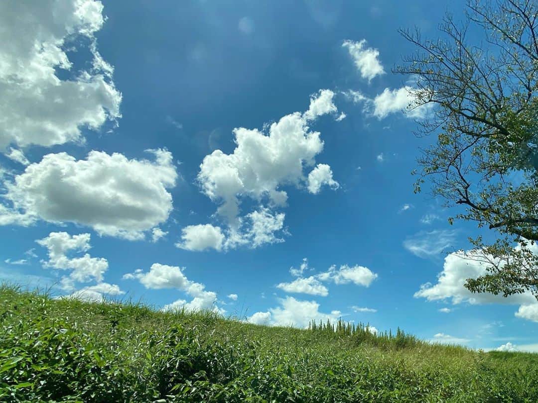 喜国雅彦＆国樹由香さんのインスタグラム写真 - (喜国雅彦＆国樹由香Instagram)「そろそろ秋めいて来たかな、と思っていたらまだ夏だった（由）  #skystagram #sky #cloud #blue #beautiful #riverside #tokyo #japan #犬散歩で歩くいつもの土手 #熱中症は #人間より犬たちが危険なので #いつも日暮れあたりに歩く #名残りの夏」9月11日 18時05分 - kunikikuni