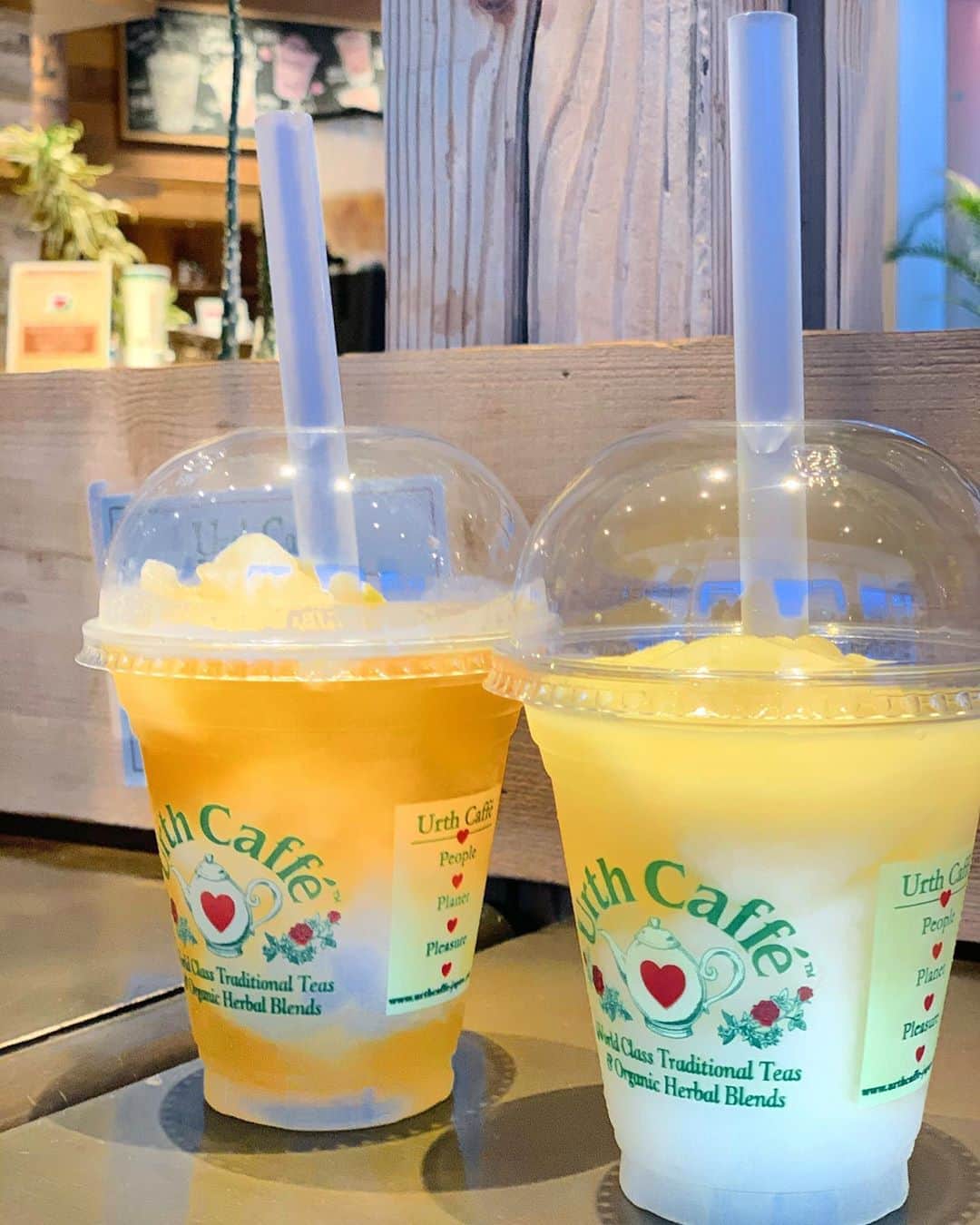 白井佑奈のグルメインスタ