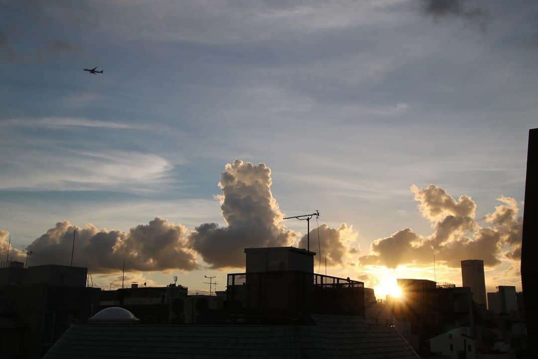 坂元美香のインスタグラム