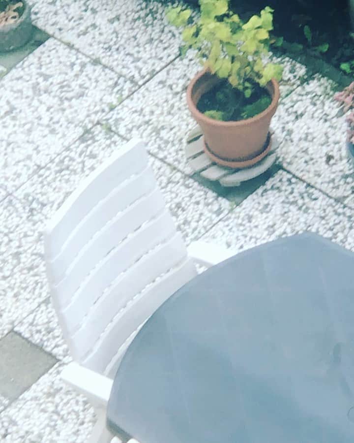 ヤナ・スクラのインスタグラム：「💪 De kinderen van mijn 83 jarige buurvrouw hebben heel nonchalant wat prikkeldraad aan de schutting bevestigd sinds ze de tuin wat hebben opgeleukt.」