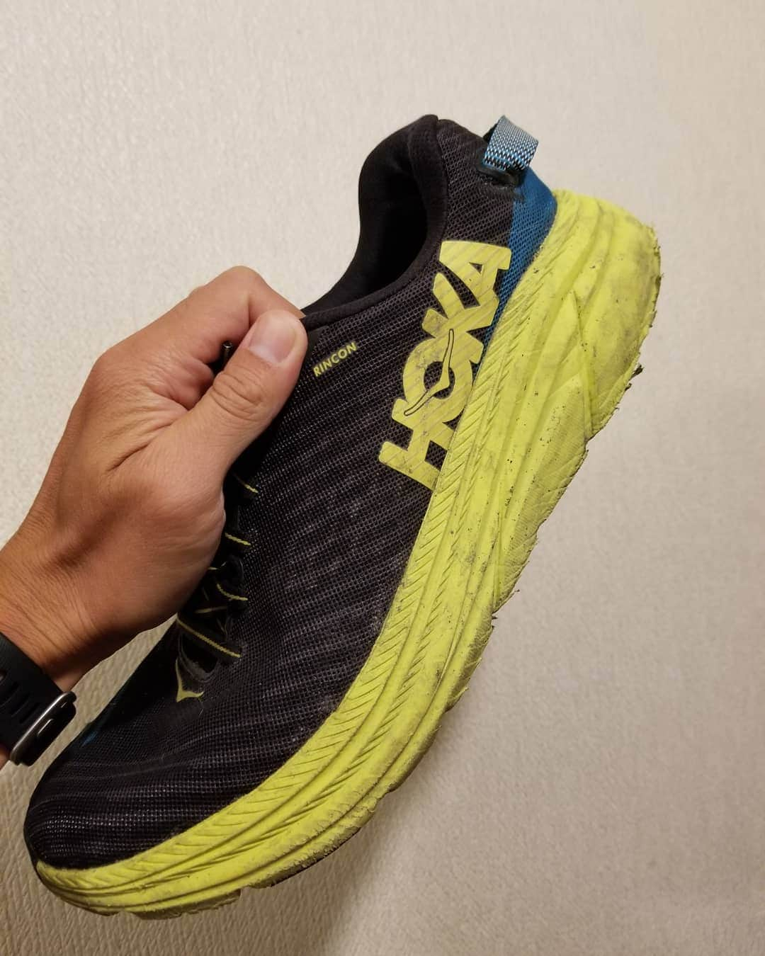 宇野けんたろうさんのインスタグラム写真 - (宇野けんたろうInstagram)「新作としてHOKA.RINCON2が出た！！！ リンコンは今まで二足履きつぶしまくって新たに2を履くことになった！！！ リンちゃんは厚さがあるけど本当に軽くてスピードがむちゃくちゃ出ます。 履きまくったリンちゃんの写真を載せておきます。古いリンちゃんありがとう。 ケンちゃんクタクタです。  #Jaybird  #イトイエックス  #hoka  #リンコン2  #マラソン #ランニング #走る #アスリート #芸人」9月11日 18時23分 - unokentarorun