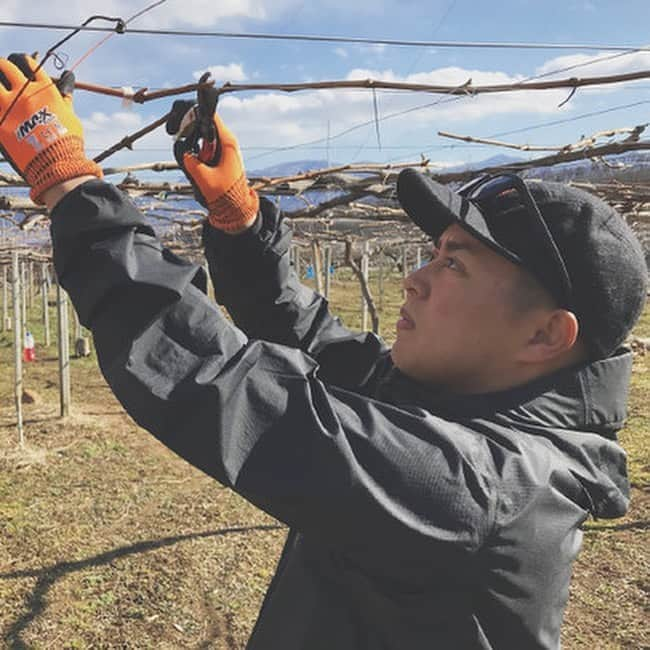 八芳園さんのインスタグラム写真 - (八芳園Instagram)「山梨市ポップアップ横丁が明日から開催🍇  MuSuBuにて横丁気分で 一升瓶ぶどう酒を湯呑で飲み比べ🍷 . 9月12日(土) 13日(日) ２日間 限定開催のイベント  「山梨市ポップアップ横丁」。 . 東京港区白金台にオープンした ポップアップ型ショールーム「MuSuBu」にて 山梨県山梨市の魅力に触れるイベントです。 . イベント当日は、山梨市の２つのワイナリー 「東晨洋酒株式会社」「山梨醗酵工業株式会社」の 一升瓶ぶどう酒が並ぶバルがオープン。 . 受付で「My湯呑」を受け取り、 湯呑み片手に飲み比べをお楽しみいただけます🍵 . 当日は山梨市の農園とオンラインで繋がり、 「山梨市ぶどう酒誕生秘話」をお伺いいたします。 . バルと一緒に楽しめるカフェでは山梨市の名産 「シャインマスカット」をふんだんに使用した ここだけの特別スイーツやワインに合うカナッペをご用意。 . シャインマスカットの魅力をさらに引き出す 「シャインマスカット講座」も開催いたします。 . また、当日のイベントの様子はYouTube Liveで配信。 こちらもぜひご覧ください。 . 〈Youtube Live配信スケジュール〉 2020年9月12日（土） 11時30分～：https://youtu.be/BHZXYCmlfJY 13時30分～：https://youtu.be/0M2loNo9FJ8 15時00分～：https://youtu.be/jwPQCrdjE7g  2020年9月13日（日） 11時30分～：https://youtu.be/eburecxZPDo 13時30分～：https://youtu.be/bWeoWaKHnrA 15時00分～：https://youtu.be/P1vST07bGBc . 山梨県の魅力と美味しさを、 「MuSuBu」にて、ぜひご堪能くださいませ。 . ■イベント詳細はこちらから https://prtimes.jp/main/html/rd/p/000000141.000019559.html . ■「MuSuBu」ホームページ https://www.happo-en.com/musubu/ . .  #八芳園  #MuSuBu #港区 #白金台 #プラチナ通り  #山梨市 #山梨県山梨市 #バル #カフェ #横丁 #ポップアップイベント #ポップアップ #イベント . #一升瓶ぶどう酒 #一升瓶 #ワイン #🍷 #山梨ワイン  #シャインマスカット #シャインマスカットタルト  #飲み比べ #飲み比べセット  . #お酒好きな人と繋がりたい  #ワイン好きな人と繋がりたい  #スイーツ好きな人と繋がりたい  #スイーツ好きな人 #green #sweets . #港区 #白金台 #港区白金台 #港区女子 #プラチナ通り」9月11日 19時17分 - happoen