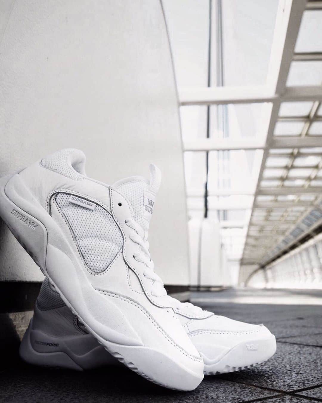 のインスタグラム：「【PECOS】  “WHITE WHITE" Store & Online.  #suprafootweartokyo #sneaker  #pecos #white  #harajuku #odaiba」
