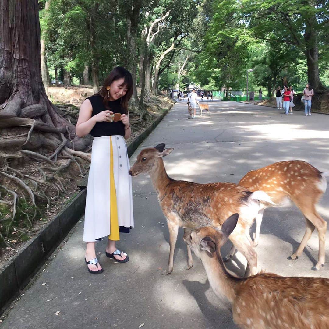 上野貴穂さんのインスタグラム写真 - (上野貴穂Instagram)「.﻿ こちらはびびりながら触れ合いを試みたところ🦌﻿ ﻿ (少し前に撮っていた写真です📷)﻿ #奈良 #nara #鹿 #シカ #奈良公園 #東大寺﻿」9月11日 20時50分 - kiho_ueno