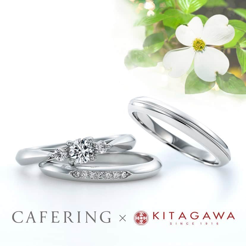 Cafe Ringさんのインスタグラム写真 - (Cafe RingInstagram)「New! 静岡県限定リング「Hanamizuki」﻿ ﻿ ハナミズキの持つ「しなやかな強さ」をイメージしておつくりしたブライダルリング。﻿ ﻿ 写真2枚目の婚約指輪は、ハナミズキの伸びやかな枝をプラチナで、その先に咲く花をダイヤモンドで表現しています。﻿ 横顔の美しいデザインにこだわりました✨﻿ ﻿ ハナミズキは静岡市の木でもあります。﻿ 地域限定リング、ぜひチェックしてくださいね🤵👰﻿ ﻿ 💍婚約指輪&結婚指輪：Hanamizuki﻿ 発売日：9月12日(土)﻿ ﻿ ＜限定取扱店＞﻿ ・KITAGAWA本店(静岡市呉服町) @kitagawa.bridal  ・ANNIVERSARY(静岡市紺屋町) @anniversary.bridal  ・CAFERING銀座本店 @cafering.platinum  ﻿ ▶️オフィシャルサイトにて全国のCAFERING取扱店ご予約が可能です﻿ ﻿ ﻿ CAFERING 銀座本店 / 全国正規取扱88店舗  #CAFERING#カフェリング #銀座#プラチナ﻿ ﻿ ﻿ #ハナミズキ#花水木#静岡#静岡限定#結婚指輪#婚約指輪#結婚指輪プラチナ#プラチナリング#マリッジリング#ブライダルリング#結婚準備#エンゲージリング#セットリング#重ね付けリング#結婚指輪探し#婚約指輪探し#指輪探し#2020秋婚#2020冬婚#プレ花嫁#日本中のプレ花嫁さんと繋がりたい#結婚指輪静岡#静岡花嫁#静岡市#静岡県#限定リング」9月11日 20時58分 - cafering.platinum