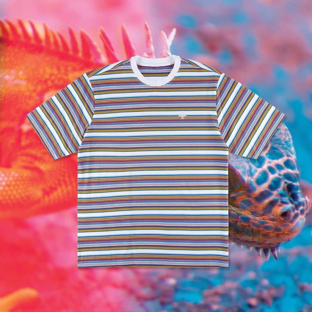 のインスタグラム：「FRESCO KNIT🦎El Arbolito: Fall ‘20」