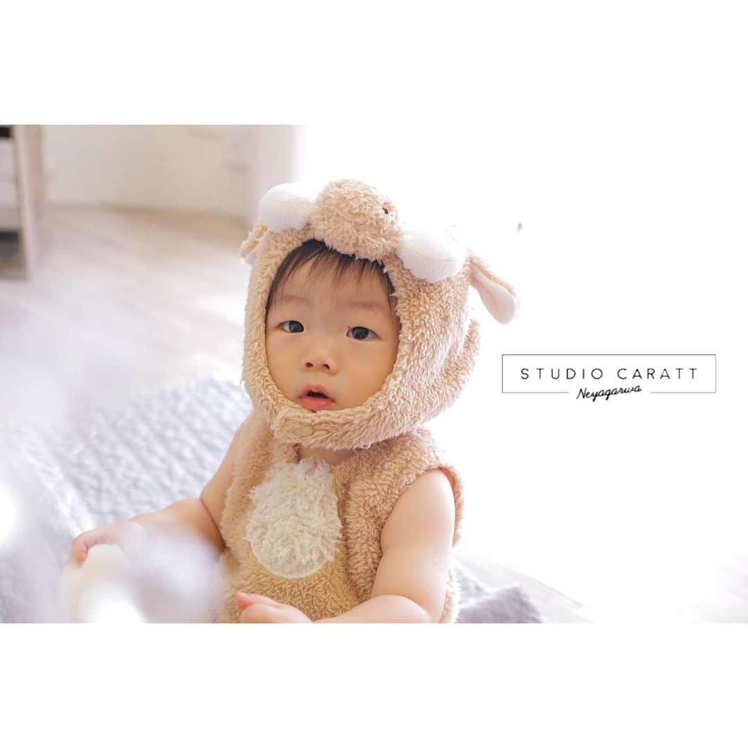 のインスタグラム：「. . 可愛い着ぐるみを着て、ボールで楽しそうに遊んでくれました☆*。 またのご来店をお待ちしております♡ . .  #スタジオキャラット #スタジオキャラット寝屋川 #キャラット #キャラット寝屋川 #フォトスタジオ #キッズフォトスタジオ #キッズスタジオ #寝屋川 #フォトスタジオ大阪 #ベビー #ベビーフォト #ベビー撮影 #ベビーのいる生活 #天使のいる生活 #ファインダー越しの私の世界 #カメラ好きな人と繋がりたい #カメラマンさんと繋がりたい #カメラ女子 #フォト #フォトグラファー #フォトジェニック #photography #photooftheday #photo_jpn #instafashion #instababy #babygirl #babystagram #babyphotography」