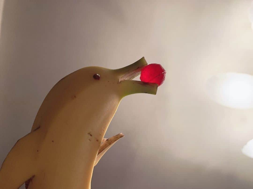 譜久村聖さんのインスタグラム写真 - (譜久村聖Instagram)「バナナで作ったイルカ🐬 小梅飴のボールで遊んでます⛱  笑わないでね🙄笑  #morningmusume20 #モーニング娘20 #譜久村聖 #イルカバナナ #バナナ #小梅」9月11日 21時36分 - mizuki_fukumura.official