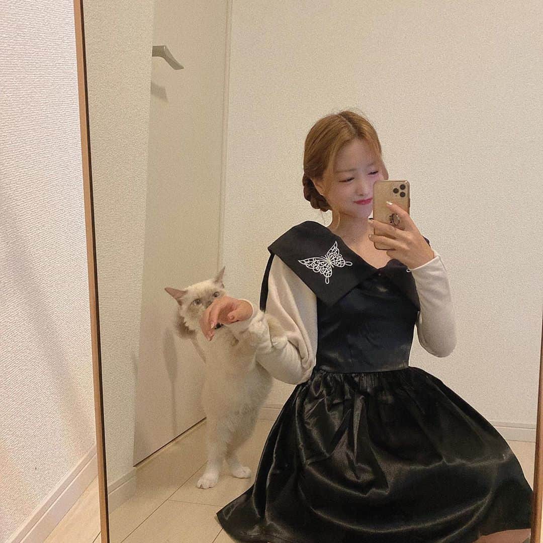 のインスタグラム：「初めて　@day23_official のお洋服全身着た🍒 肌触りが良くて着心地がよかった👗 体型カバーもできる形でした✨ かんわいいいいい🥰🥰 撮ってたらうちのネッコ @_miitarou_ が入ってきた笑 . . .  #day23 #dayoriginal #daygirl #スタイルアップコーデ #pr #トリドリベース #ラグドール #ラグドール子猫　#韓国ファッション　#オルチャンヘア #オルチャンファッション #オルチャンコーデ」