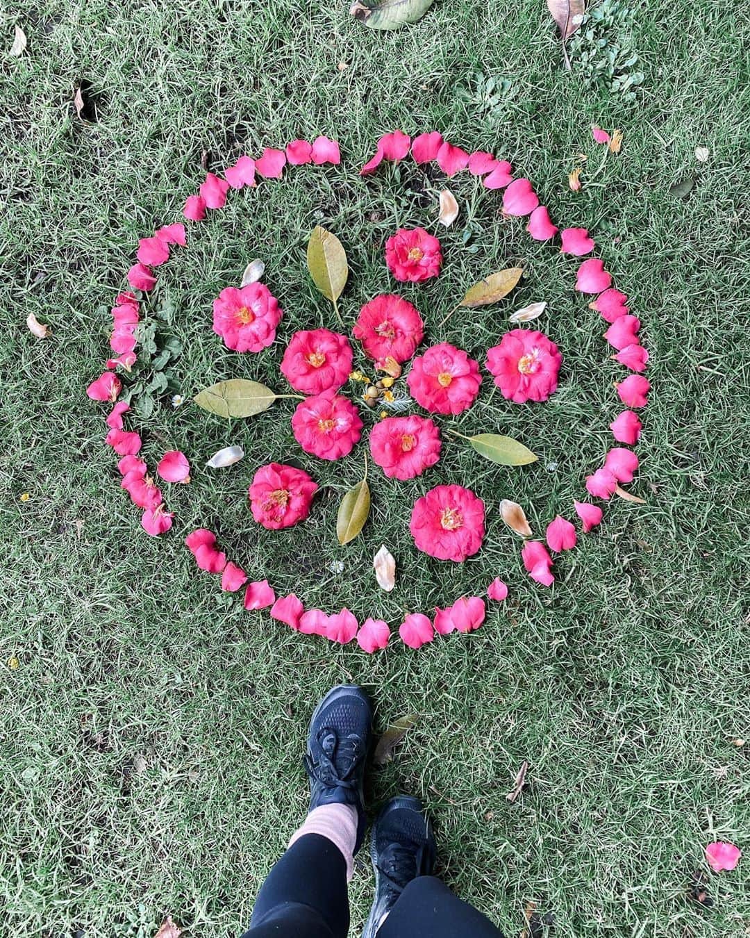 アン・カーティスのインスタグラム：「Found on my walk 🌸」