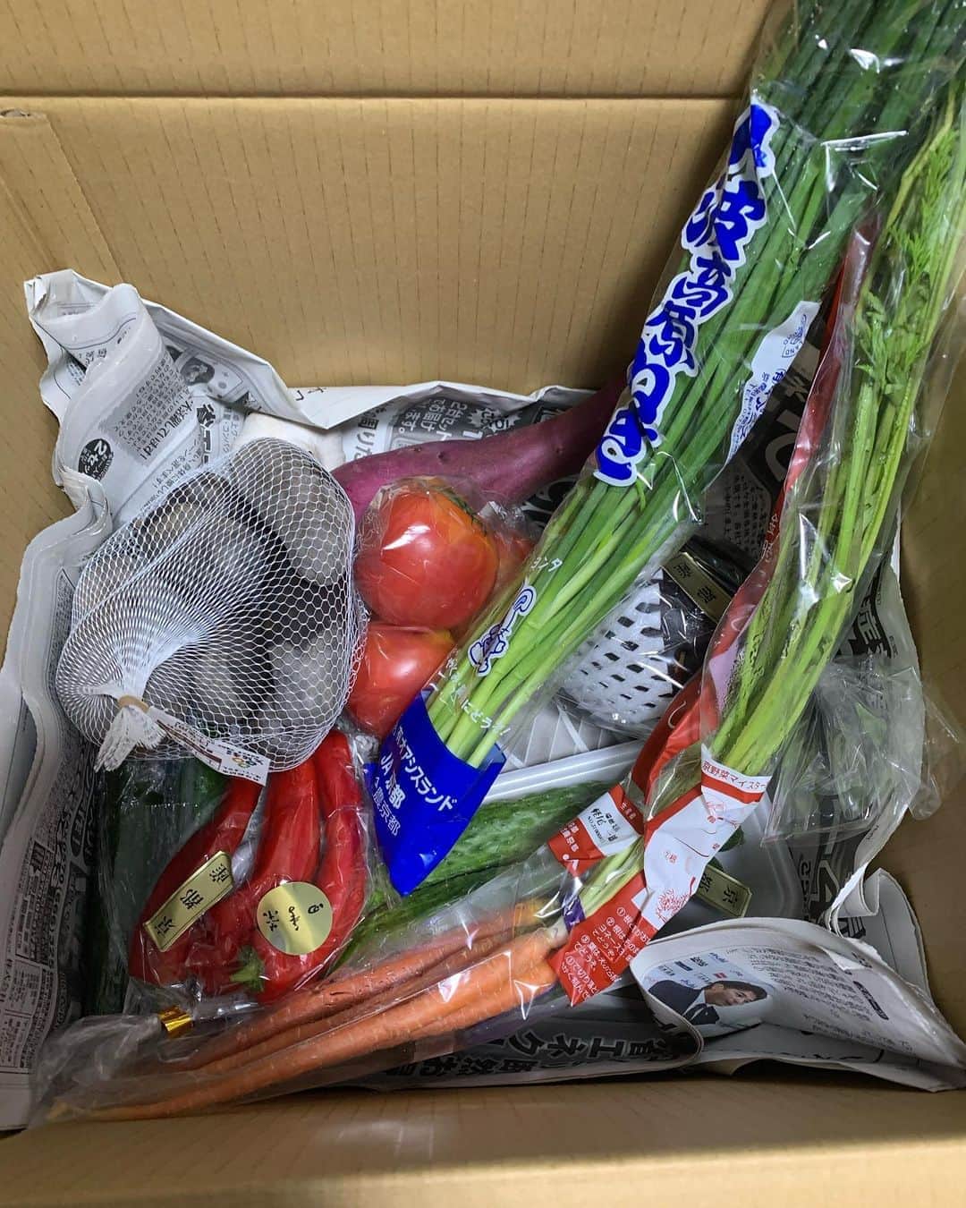 池田真一のインスタグラム：「僕の友達が特選野菜の定期便やってます！ 今回はこっちこっち〜の店長がんちゃんに料理にしてもらいました！  先ず1品目は シャドークイーンをアイオリソースで和えたものです めちゃくちゃ美味しです！！ そして2品目は 頂いたおなす、人参、トマト、玉ねぎ、ニンニクでラタトゥーユを作ってもらいました！ こちらも絶品！！  農家の皆さんの想いが詰まった新鮮な野菜を定期配送してくれて四季のお野菜を食べれますよー！ 今回も色々新鮮野菜が届きました！ ほんまに1回試しに頼んでみて欲しい☺️ 質問などあれば気軽に僕にメッセージ くださいな！ 神戸〜明石は送料無料です！  四季菜〜厳選の極み〜定期便 小売·販売 京都、淡路などの農家さんから新鮮な野菜たちを仕入れています ※1日20セット限定品 【引き取り場所】 神戸市西区櫨谷町福谷766-1 TEL : 078-335-6678」
