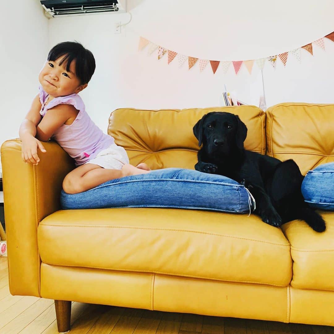 のインスタグラム：「今朝の子供達🧒🐕‍🦺  #娘 #4才2ケ月 #16kg #黒ラブラドール #7ケ月 #19kg #大型犬のいる生活」