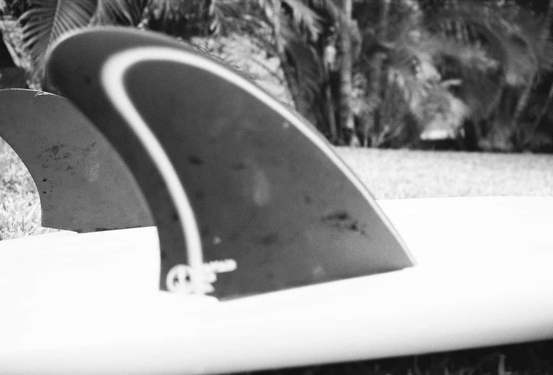 ビタラフ・アルマンさんのインスタグラム写真 - (ビタラフ・アルマンInstagram)「New stick 🥕 . . 5’5|2 1/2|20in| #kapenasurfboards  #twinfin」8月28日 6時32分 - armanbitaraf808