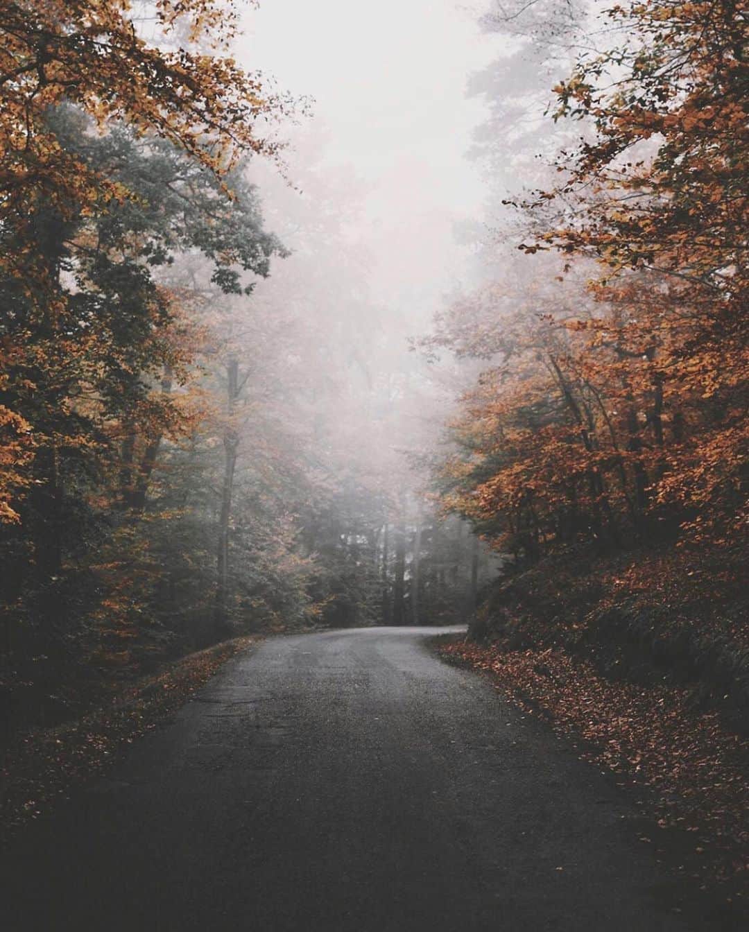 FOLKのインスタグラム：「Still swept up in an autumn state of mind. Today’s favorites are:  1.) @fenrirbrooklyn 2.) @charlysavely 3.) @david_herzig 4.) @archiefrink 5.) @niklasdschnr 6.) @marvin_walter」