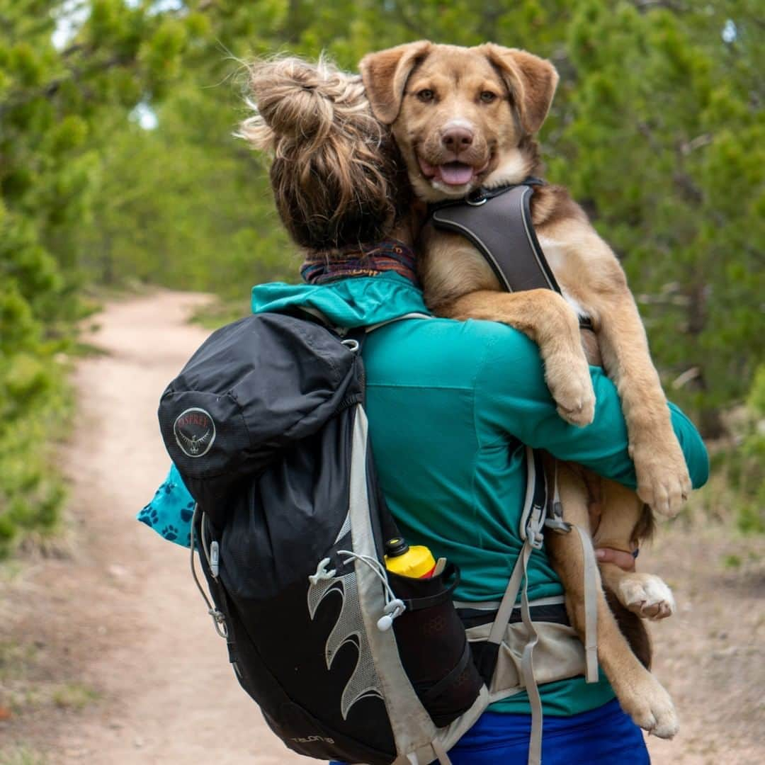 オスプレーさんのインスタグラム写真 - (オスプレーInstagram)「And in the middle of my chaos, there was you 🐾💕 📷 by @wanderlinds_  Featured pack from the Talon/Tempest Series #ospreypacks #thegooddaysaremade」8月28日 7時15分 - ospreypacks