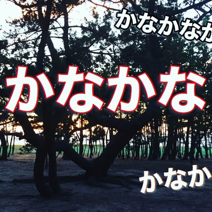 中野耕史のインスタグラム：「‪おっはよーーーーーございます！！！‬  ‪1分ちょっとのリフレッシュ🌲‬  ‪YouTube新作UPしました🎥‬  ‪心を伝える日本語 #32 かなかな https://youtu.be/W_IItvMQOMY @YouTubeより‬」