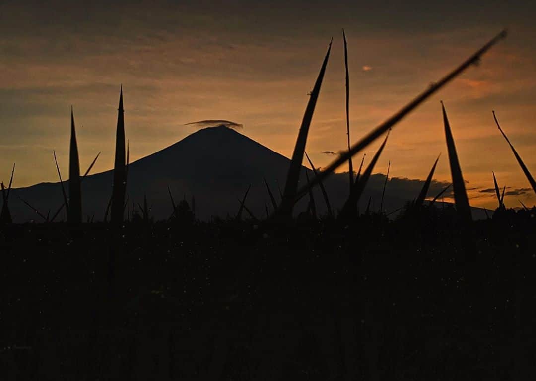phantastic420のインスタグラム：「. 🤩🤩“Shizuoka” prefecture in Japan is a place where you can see the most “phantastic” Mt. Fuji🗻 in the world.🤩 #富士山 #mtfuji #japan #shizuoka #fujinomiya  #宮すた #miyasta @fujinomiyacity  #phantastic420photography #mostphantasticmtfuji #selamatpagi  #goodmorning  #おはようございます 😇😇😇😇😇😇😇🗻😇😇😇😇」