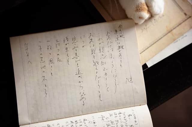 大杉隼平さんのインスタグラム写真 - (大杉隼平Instagram)「38歳に。生まれる前に父が書いてくれていた手紙。  その言葉の一つに自分の今、これからを重ねていきたいと思います。  最後の瞬間。きっと見ていたであろう場所に感謝を伝えに。   11月東京、12月徳島の写真展。写真を見て頂ける機会がもてることは自分にとって大切な時間です。  写すこと。とことん向き合う時間にしたいと思います。  #写真 #大杉隼平」8月28日 8時21分 - shumpeiohsugi_photographer
