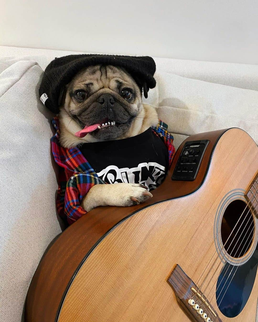 itsdougthepugさんのインスタグラム写真 - (itsdougthepugInstagram)「“If I started a band, what would I name it?” -Doug」8月28日 8時22分 - itsdougthepug