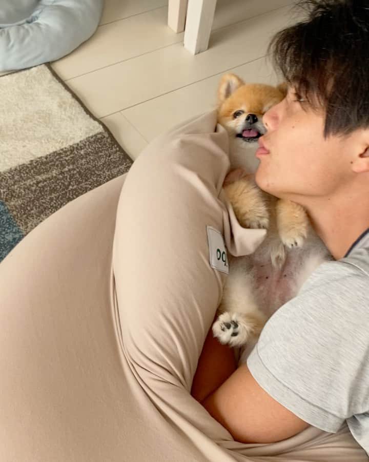 RIO POMEのインスタグラム：「寝起きのにいちゃんと✨ リオのおはよーはいつもこれです💕  おはようございます☀ 今日は金曜日❗️ がんばろー✊  朝からペコポン人はケロロ軍曹を見てます😅  #ポメラニアン #pomeranian  #犬 #dog #dogstagram#doglover #愛犬 #わんこ #ポメラニアン大好き #ポメラニアンが世界一可愛い #pom #ぽめらにあん #ポメ#pomeraniansofinstagram  #pomeranianlove #ふわもこ部 #いぬバカ部 #癒しわんこ#instapic#pomstagram #puppy #dogsofinstagram #cute#cutedog」
