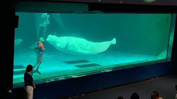 氷浦紫のインスタグラム