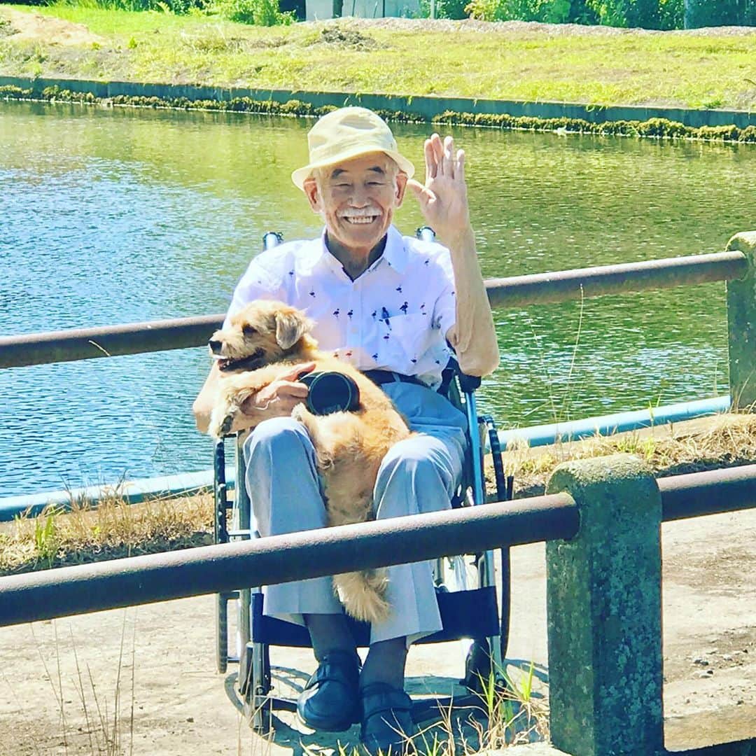 宮本亜門さんのインスタグラム写真 - (宮本亜門Instagram)「だいすきなおじいちゃんとすずしい☘かわぞいにきたよ。　#お父ちゃん最近は車椅子　#でも元気にたくさん食べます　#保護犬　#ビート　#宮本亞門」8月28日 8時48分 - beatamon