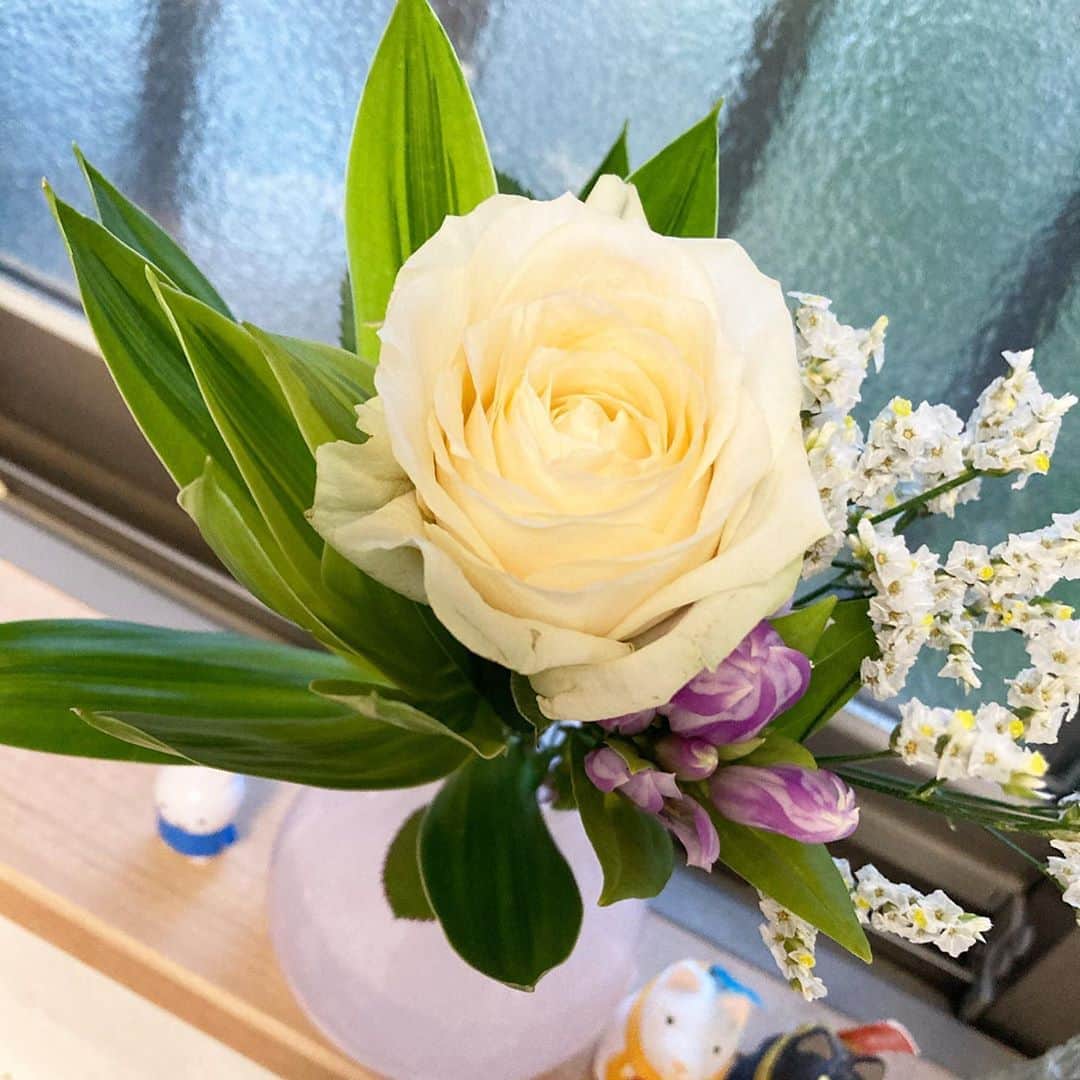 ゆもこさんのインスタグラム写真 - (ゆもこInstagram)「「今月もお花が届いたよ〜♫」 【#PR です】 今月も @bloomeelife さんから素敵なお花が届きました💐 薔薇ですよ〜！薔薇！🌹 やっぱり薔薇がお部屋にあると一気に華やぎますね😆 いつもキッチンの窓辺に飾っているのですが、洗い物をするたびに心を癒してくれます☺️ 部屋がチビちゃんのオモチャで溢れかえっていようとも、姉妹喧嘩が勃発しようとも、洗い物中の私の心は穏やかです😂 初回無料のクーポンがありますので、気になった方はぜひお試しください♫ ■クーポンコード：yumohiyo ■有効期限：2020年9月30日 #bloomeelife ※ ※ ※ #dogsofinstagram #日本犬 #柴犬 #柴 #赤柴 #shiba #犬バカ部 #ふわもこ部 #柴犬マニア #しば #shibadog #sibainu #ひより日和 #柴女子 #shibagram #shibastagram #いぬら部 #柴犬ひより」8月28日 9時22分 - yumohiyo
