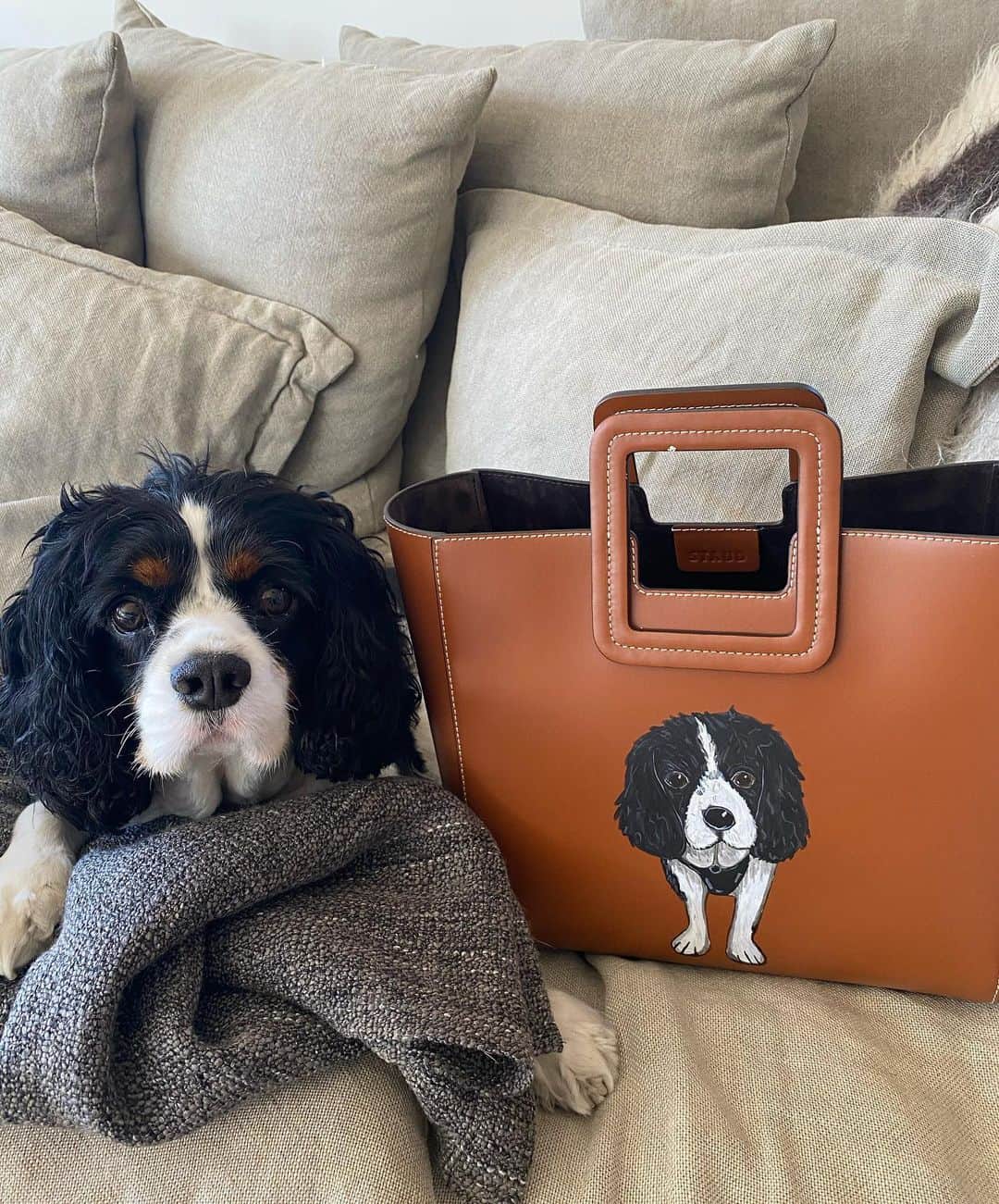 オリヴィア・マンさんのインスタグラム写真 - (オリヴィア・マンInstagram)「Doggie Bag x @staud」8月28日 9時28分 - oliviamunn