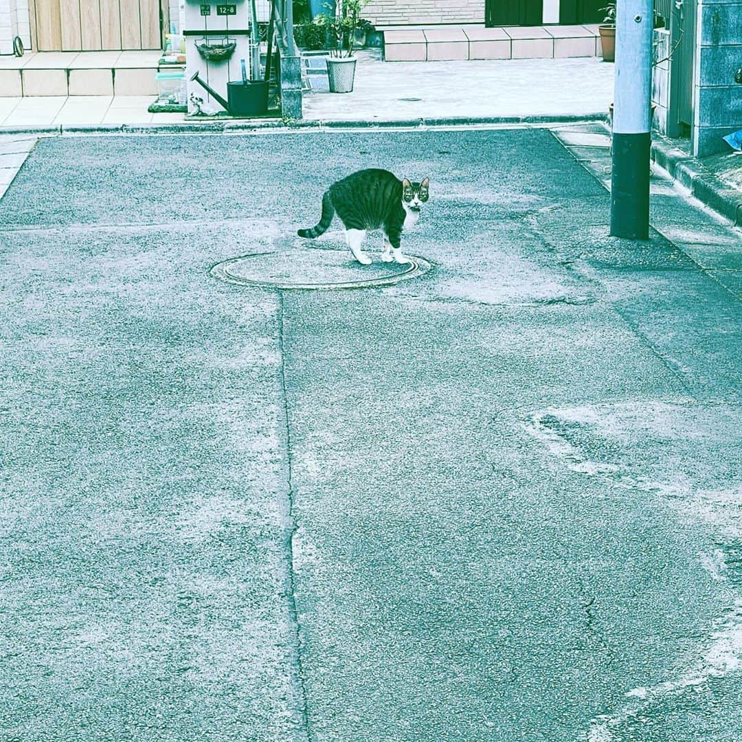 中野敬久のインスタグラム