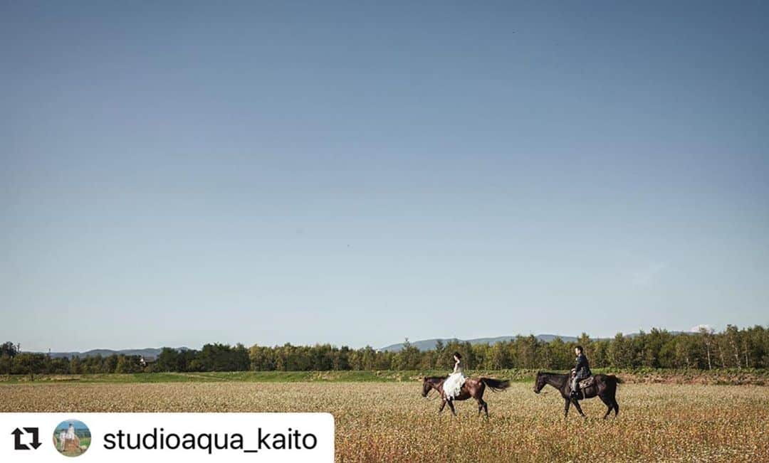 STUDIO SOLAさんのインスタグラム写真 - (STUDIO SOLAInstagram)「#Repost @studioaqua_kaito with @make_repost ・・・ 新提案【ホーストレッキング×ウェディングフォト】﻿ ﻿ スタジオSOLA @studiosola_hokkaido  スタジオAQUA富士店 @studioaqua.fuji ﻿ で体験できます🏇﻿ ﻿ ﻿ ------------﻿ ❁Photographer﻿ @studioaqua_kaito﻿ -------------﻿ ﻿  #ウェディングドレス #スタジオアクア浅草店 #北海道メディア  #後撮り #スタジオアクア #weddingphoto #wedding #ウェディングフォト #結婚写真 #フォトウェディング #ウェディングヘア #ウェディングヘアスタイル #結婚式コーデ #ロケーション撮影 #前撮り #花嫁準備 #花嫁コーディネート #ウェディング #卒花嫁#結婚準備 #花嫁  #撮る結婚式　#tokyocameraclub #hueart_life #cherish_photo_days #good_portrait_world #lovers_nippon_portrait #カップルフォト #マリクル」8月28日 9時36分 - studiosola_hokkaido