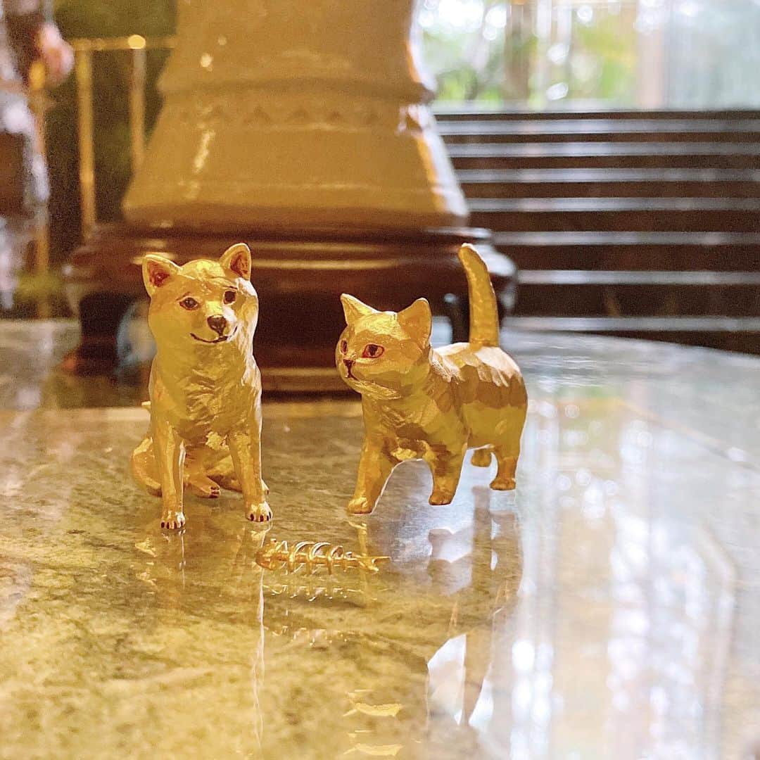 GINZA TANAKA 公式さんのインスタグラム写真 - (GINZA TANAKA 公式Instagram)「・ 【純金オブジェ－ホテル椿山荘東京へお出かけ🐕🐈】 ・ （犬）「椿山荘はどこに行っても素敵だね～。」 （猫）「広くて迷子になりそう～。 　　　　浴衣のお姉さんがいるにゃ～。」 ・ #GINZATANAKA #ginzatanaka #ギンザタナカ  #田中貴金属 #田中貴金属ジュエリー #summer #K24 #GOLD #Puregold #ゴールド #純金 #オブジェ #犬 #いぬ #わんこ #犬のいる暮らし #犬好きな人 #犬のいる生活 #猫 #ねこ #にゃんこ #猫のいる暮らし #猫好きな人 #猫のいる生活 #夏小物 #夏休み  #夏休みの思い出 #椿山荘 #ホテル椿山荘東京 #はしもとみお」8月28日 9時42分 - ginzatanaka_jp
