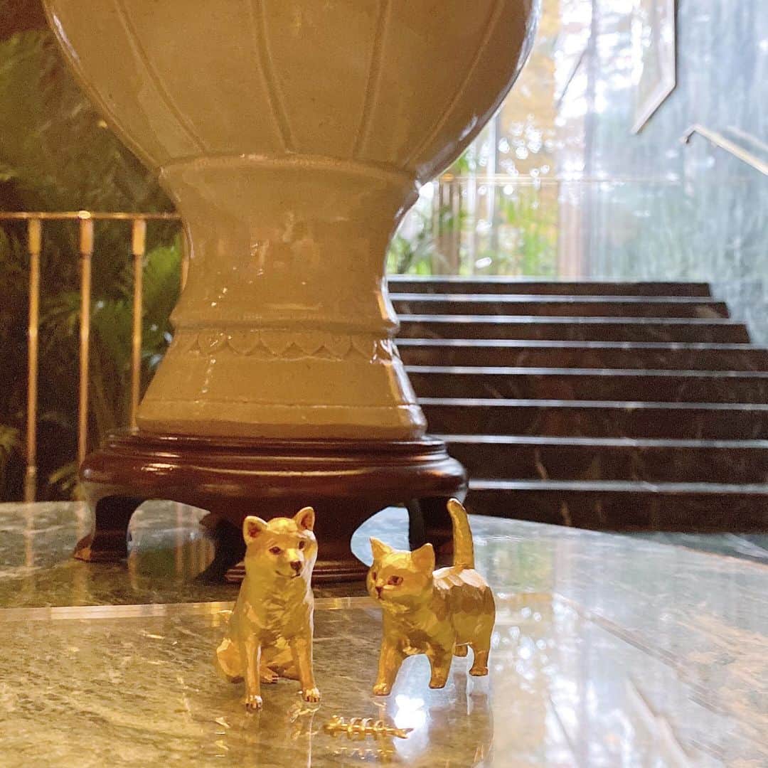 GINZA TANAKA 公式さんのインスタグラム写真 - (GINZA TANAKA 公式Instagram)「・ 【純金オブジェ－ホテル椿山荘東京へお出かけ🐕🐈】 ・ （犬）「椿山荘はどこに行っても素敵だね～。」 （猫）「広くて迷子になりそう～。 　　　　浴衣のお姉さんがいるにゃ～。」 ・ #GINZATANAKA #ginzatanaka #ギンザタナカ  #田中貴金属 #田中貴金属ジュエリー #summer #K24 #GOLD #Puregold #ゴールド #純金 #オブジェ #犬 #いぬ #わんこ #犬のいる暮らし #犬好きな人 #犬のいる生活 #猫 #ねこ #にゃんこ #猫のいる暮らし #猫好きな人 #猫のいる生活 #夏小物 #夏休み  #夏休みの思い出 #椿山荘 #ホテル椿山荘東京 #はしもとみお」8月28日 9時42分 - ginzatanaka_jp